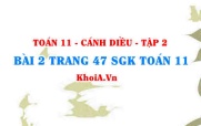 Bài 2 trang 47 Toán 11 tập 2 Cánh Diều